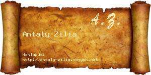 Antaly Zilia névjegykártya